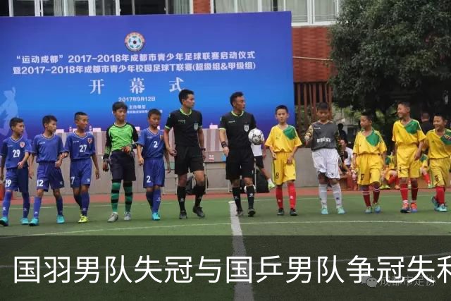 国羽男队失冠与国乒男队争冠失利，亚运会面临挑战